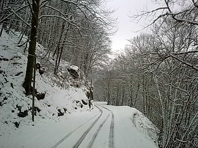photos de dÇneigement 177.jpg
